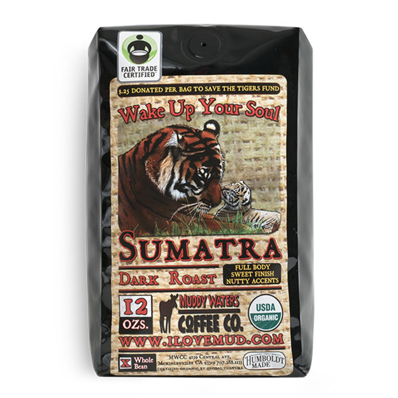 Sumatra 1